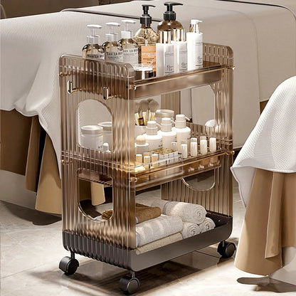 Premium Acrylic Makeup Organizer Display Shelf Beauty Salon Trolley Multi-Purpose Storage Rack Instrument Utility Cart